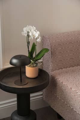 Dettagli New Casaguttmann Roma 60